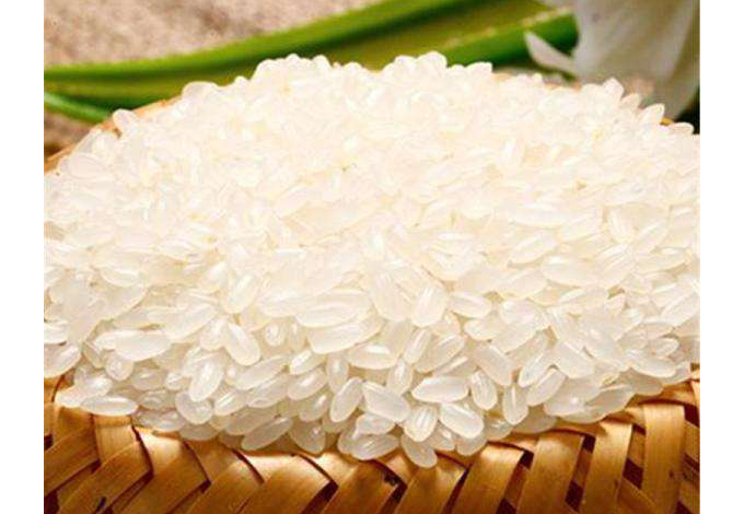 農副產品糧食配送